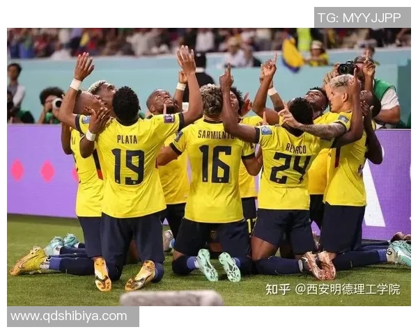 深圳排球队在世界杯中的默契配合展现团队精神与竞技风采